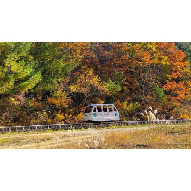 평창 용평리조트